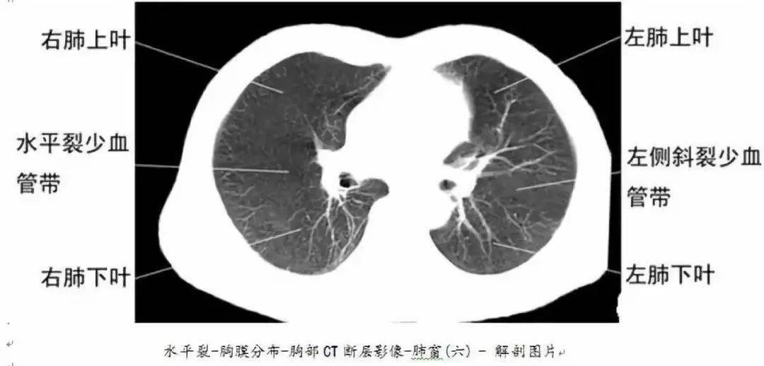 新跑狗图香港高清图片大全正版,整体解答解释落实_CT68.229