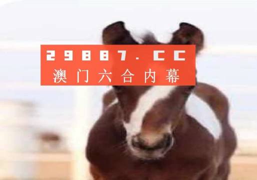 焦报 第247页