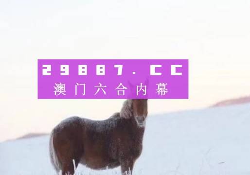 闻视 第204页