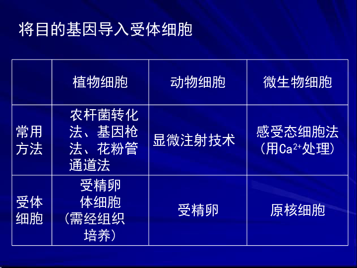 2024年11月 第807页