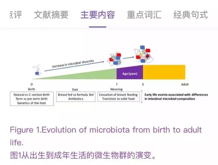 新奥门特免费资料大全管家婆,经典解释落实_标准版90.65.32